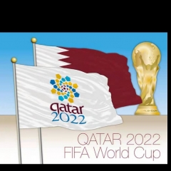 2022 FIFA World Cup group stage draw a ni