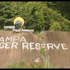 Dampa Tiger Reserve