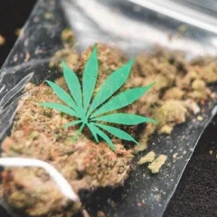 Heroin leh ganja man a pung tual tual