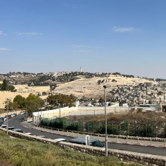 Jerusalem panin - Zi
