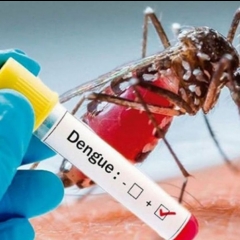 Mizoramah Dengue vanga thi mi pahnih awm tawh
