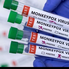 Monkeypox a hlauhawm reng em? 