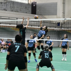 Pro Volleyball: Chak