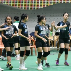 Pro Volleyball: Cham