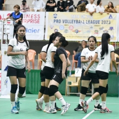 Pro Volleyball Leagu